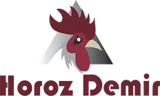 Entranet Başarı Hikayesi - Horoz Demir